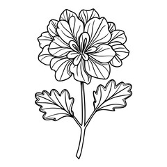 black and white flower