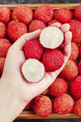 Fresh Hainan Lychee Fruits in Hand - Tropical Asian Fruit Harvest Display with Peeled White Flesh