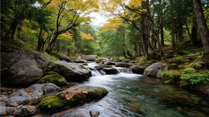 Obraz premium A serene river flows through a vibrant, leafy forest, showcasing the beauty of nature in autumn's colorful embrace.