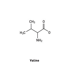 Structural formula of Valine. Scientific substance. Nonessential amino acid.