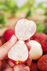 Fresh Lychee Fruit from Lingshan Hainan Guangxi China Hand Holding Peeled White Flesh Sweet Tropical Asian Fruit