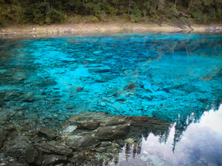 透明な湖に映る木々と水底が見える神秘的な自然風景