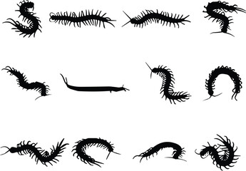 Centipede silhouette collection, black insect icons, multi-legged arthropods, crawling pest shapes, vector illustration, entomology, taxonomy, design elements