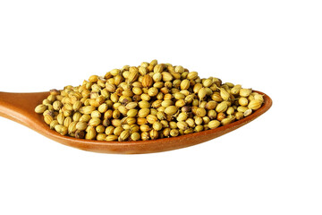 Indian spice or herbs coriander seeds in spoon for Indian Gujarati stew food recipe, also use in Indian traditional ayurvedic medicine, cutout in transparent background, png format     