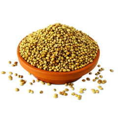 Indian spice or herbs coriander seeds in bowl for Indian Gujarati stew food recipe, also use in Indian traditional ayurvedic medicine, cutout in transparent background, png format     