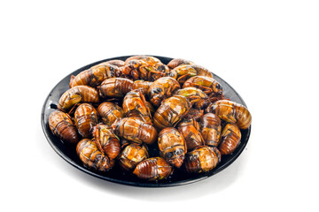 Cooked Cicada Pupae in Bowl - Traditional Asian Insect Food Delicacy and Alternative Protein Source
