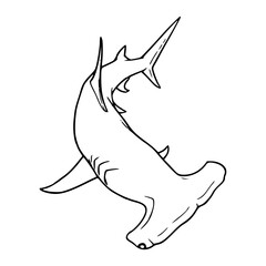 hammerhead shark, sea animal vector illustration