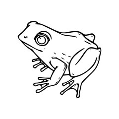 line art of a small frog