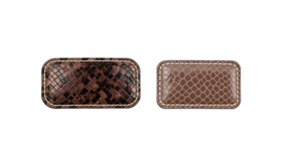 Leather snakeskin rectangle on transparent background png