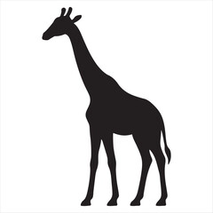 Black silhouette of a tall giraffe standing gracefully against a white background