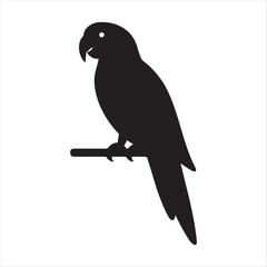 Silhouette of a perched parrot against a white background symbolizing nature and freedom