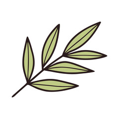 A simple hand drawn illustration of a light green leaf branch with dark outlines isolated on transparent background