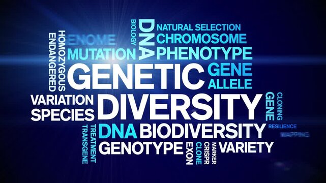 Genetic Diversity animated word cloud-text design animation tag kinetic typography seamless loop.