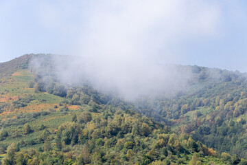 Fototapeta premium Leitariegos Pass, in Asturias, covered in fog with the mountains in the sun