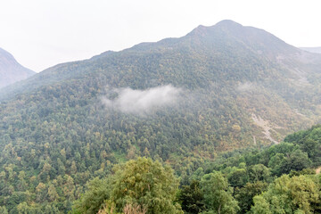 Leitariegos Pass, in Asturias, covered in fog with the mountains in the sun