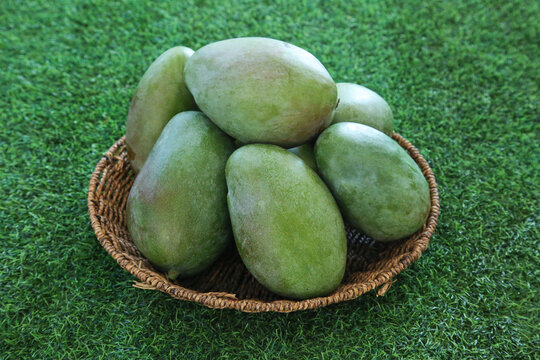 Fresh Green Mangoes in Basket from Panzhihua Sichuan Province China Tropical Fruit Display