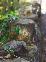 Rocks