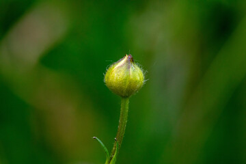 Point de D&eacute;part