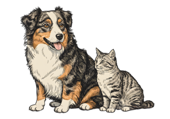 Illustration Of Australian Shepherd And Cat Sitting Together On Transparent Background
