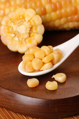 Sweet corn kernels on wooden spoon with fresh corn cobs on cutting board