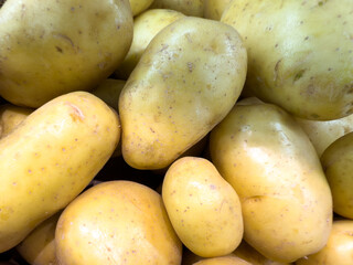 Fresh Yellow Potatoes Close-Up for Culinary and Market Use