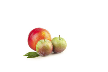 Fresh Red Mango and Green Plums Stone Fruit Collection on White Background