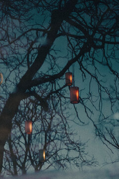 lanternes