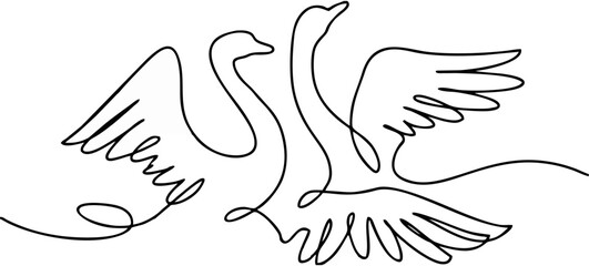 Elegant Swan Couple - One Lin...