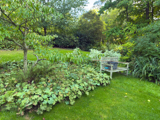 English green garden multiple type of trees and plants during sunny summer season