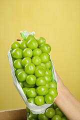 Fresh Green Grapes in Paper Bag Held by Hand on Yellow Background
