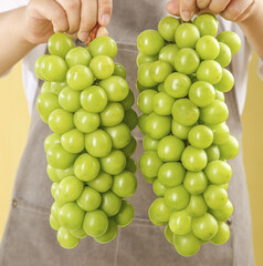Fresh Green Grapes Held in Hands - Ripe Fruit Ready for Harvest