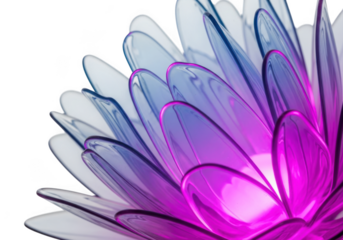 Close up of a translucent lotus flower lamp isolated on transparent background