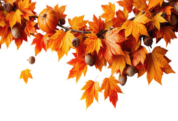 Hanging Garland of many maple leaves, white and yellow pumpkins, acorns, ears of wheat on a white plain background. Decoration for Halloween or Thanksgiving.