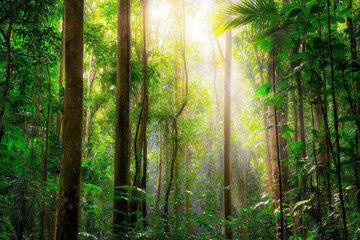 Dense tropical rainforest with sunlight filtering through tall trees, lush green foliage, peaceful natural background.
