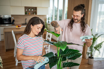 Couple cleaning houseplant leaves in modern apartment