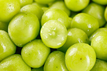 Fresh Green Grapes with Water Drops in Natural Sunshine Light