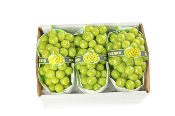 Fresh Green Grapes in Packaging Box with Japanese Labels on White Background