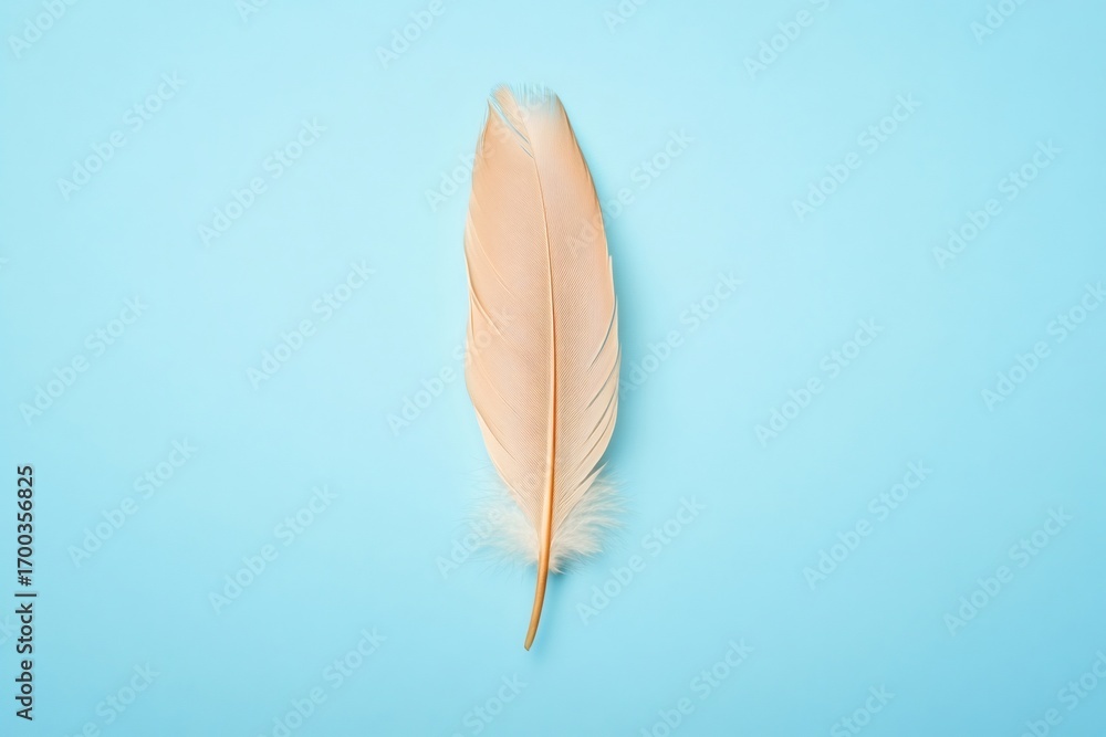 Poster beige feather resting on a vibrant light blue backdrop, creating a minimalist composition with poten