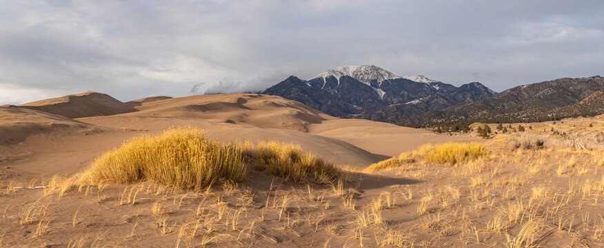 This scenic winter panorama in Great Sand Dunes National Park features rubber rabbitbrush and blowout grass in the dunes and snow-covered Colorado thirteener (13er) Mount Herard rising above.
