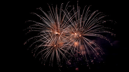 Golden fireworks display bursting in dark night sky