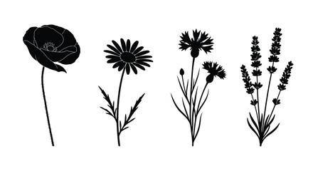 Naklejka premium Delicate silhouette botanical collection diverse floral elements artistic line drawings vector