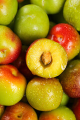 Fresh Cut Plum Half Showing Yellow Flesh Among Colorful Whole Plums with Water Drops