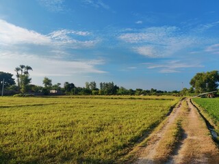 country road in the countryside