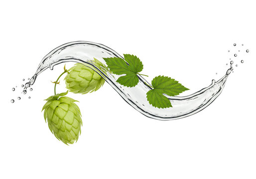 Hops and water splash fresh green ingredient image