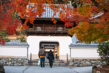 young couple walk at front gate of Koshoji Temple in autumn, Uji