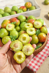 Fresh Green Plums Cut Into Pieces Showing Yellow Pulp and Pit in Hands