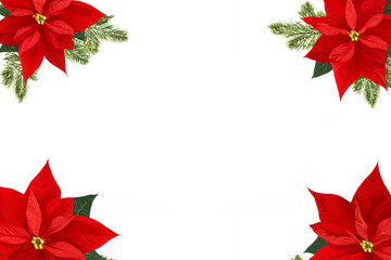 白い背景にポインセチアの額縁