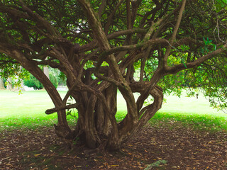 Scotland in all its glory