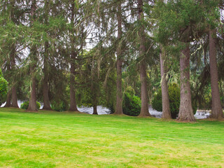 Scotland in all its glory