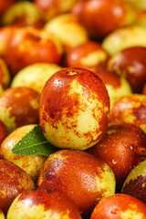 Fresh Jujube Dates from Shaanxi China - Traditional Winter Fruit with Water Droplets